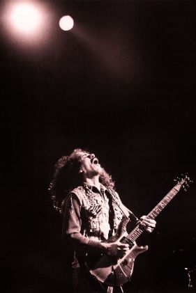 Bildbeispiel:  Fotograf für Bühne und Konzert - Carlos Santana