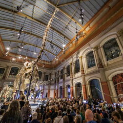 Publikum mit Dinosaurierskelett bei einer Veranstaltung im Museum für Naturkunde in Berlin