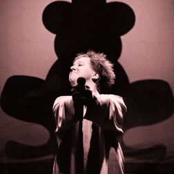 Sänger von „Die Prinzen“ vor Froschkönig auf der Bühne